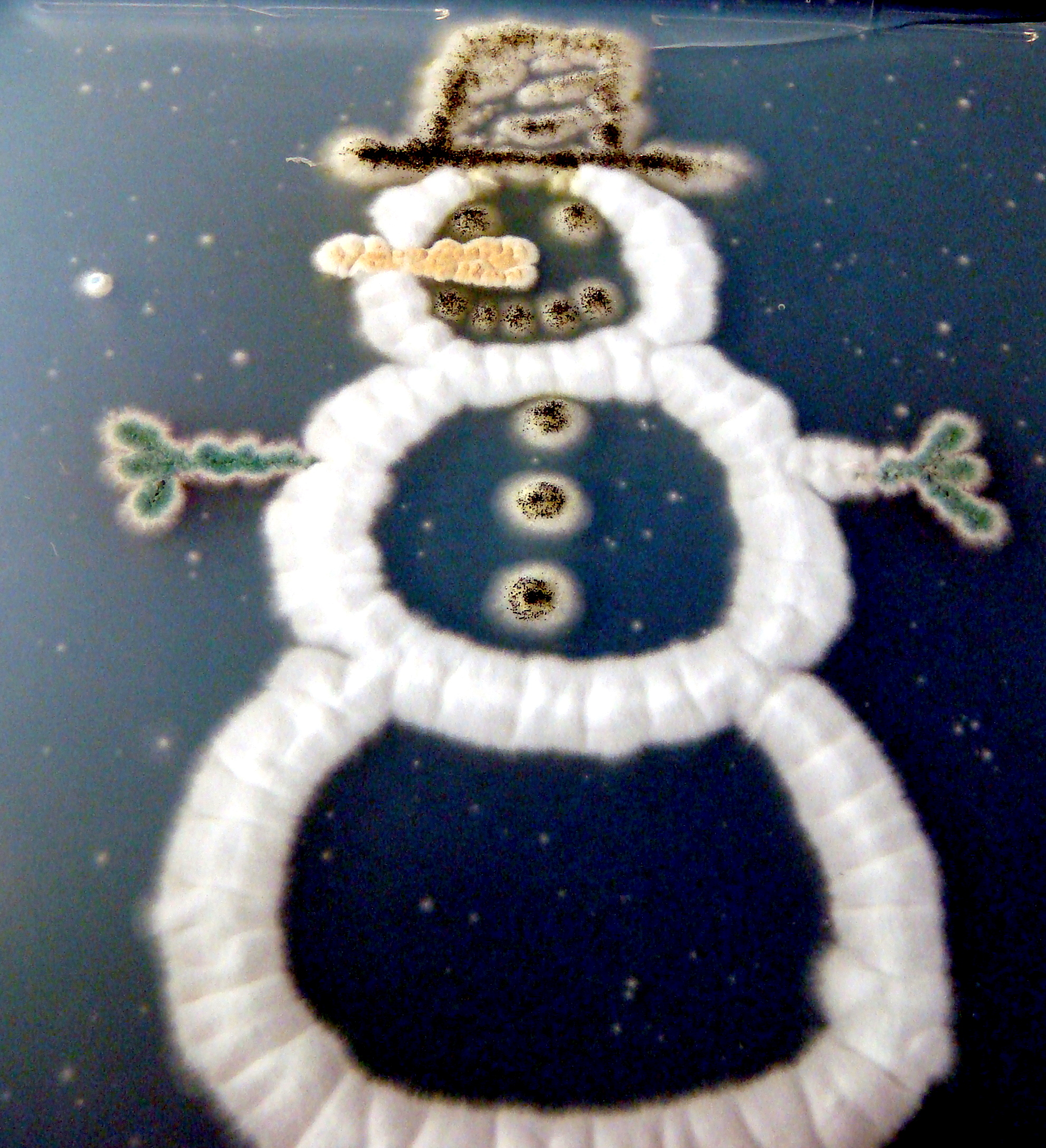 Fungal snowman. Hat, Eyes, Mouth, Buttons: Aspergillus niger; Arms: Aspergillus nidulans; Nose: Aspergillus terreus with Penicillium marneffei; Body: Neosartorya fischeri.