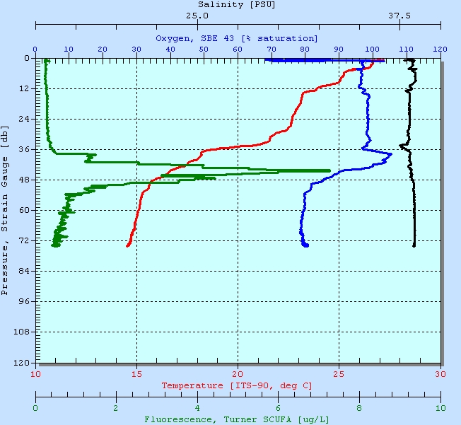 CTD Profile Of South Side Of Messina Straits Taken on July 16th
