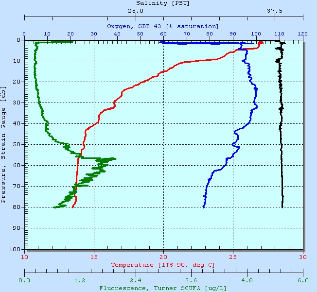 CTD Cast Profile In Northern Italian Waters