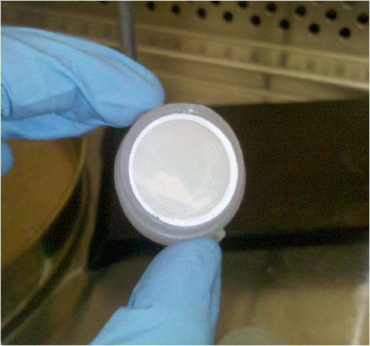 A 0.1 micron filter following de-aggregation and processing. The filtrate had already passed through the 3.0 micron filter, and is composed of bacteria and small particles. This filter contains particles from 5.4 million liters of air!