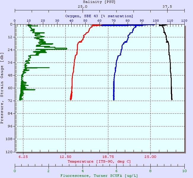 CTD cast from Med. Sea side of the Straits of Gibraltar. Salinity increased from 36 to 38 PSU