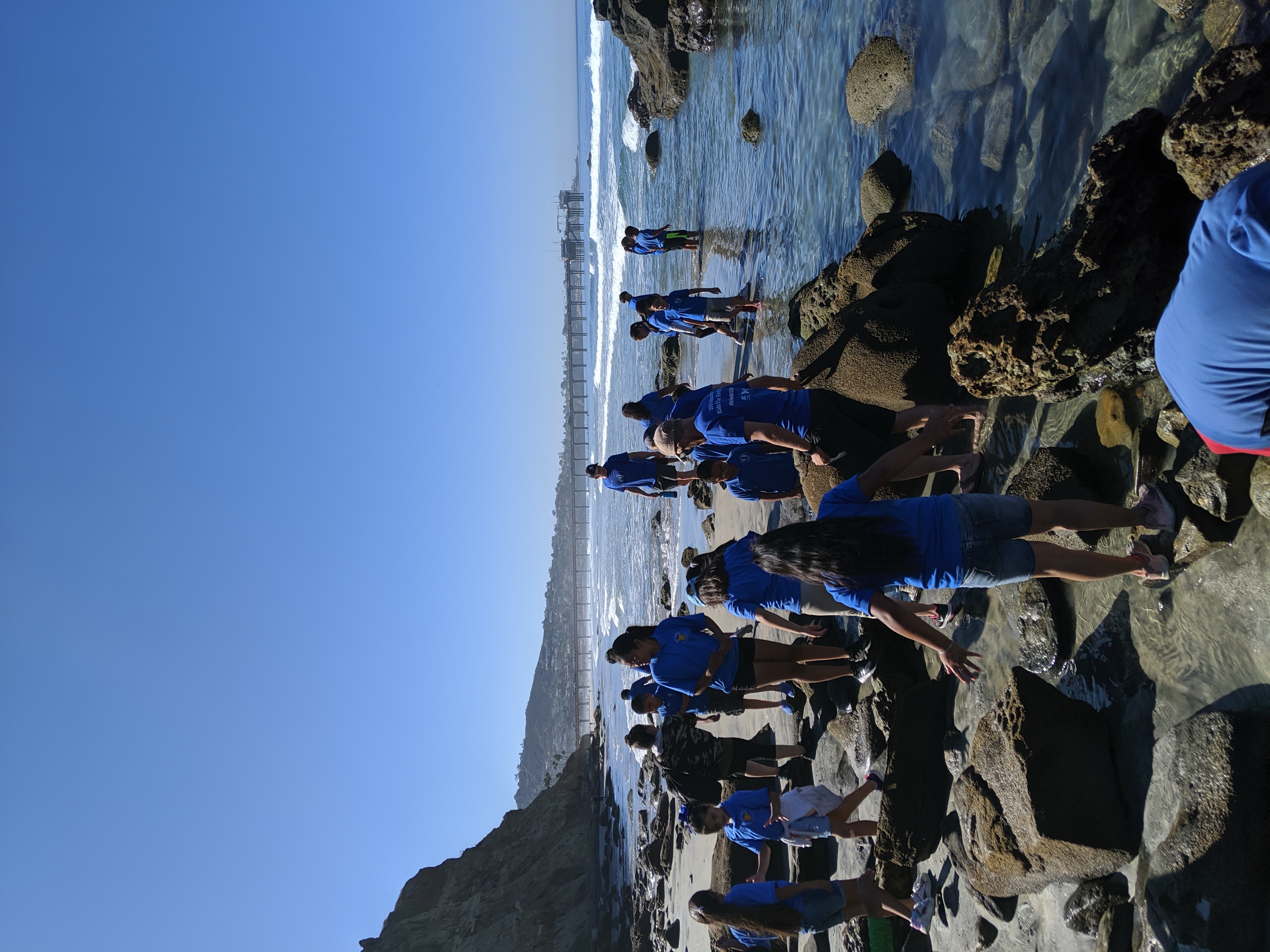 Elementary school children exploring the beach and tidepools.