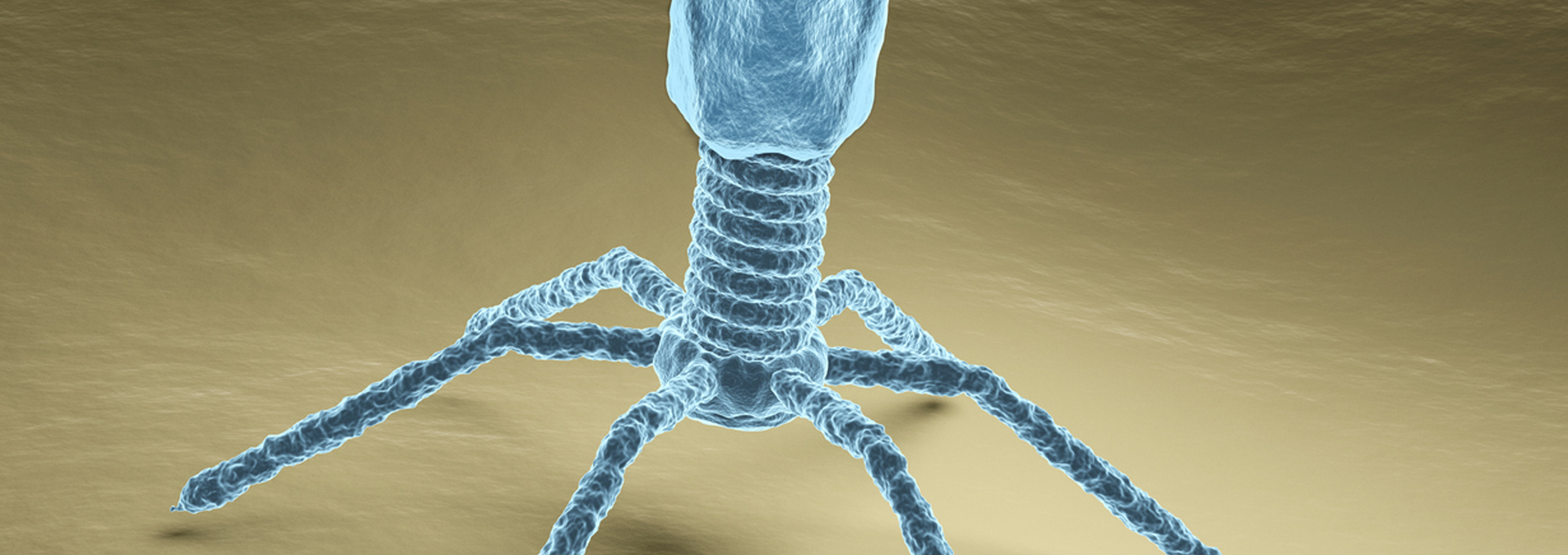 Synthetic Engineering of Bacteriophage for Treatment of Wound