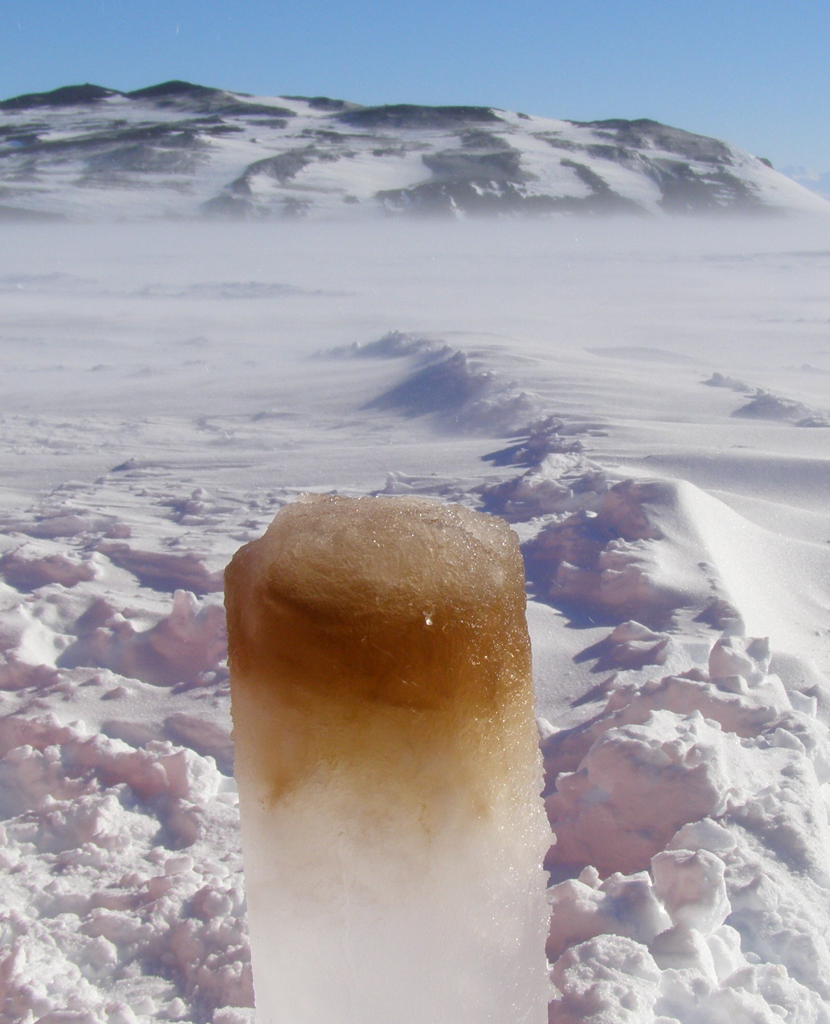 An inverted ice core showing a layer of phytoplankton growing in the sea ice