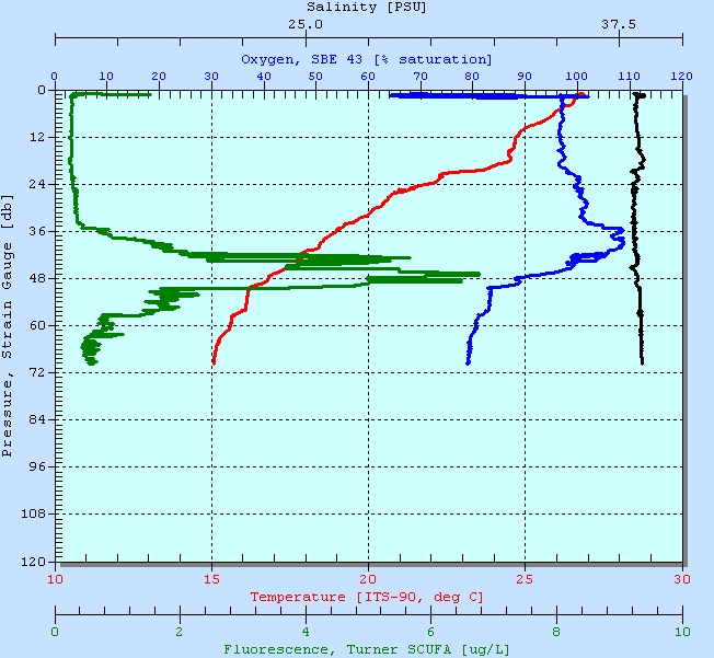 CTD Profile Of South Side Of Messina Straits Taken on July 19th