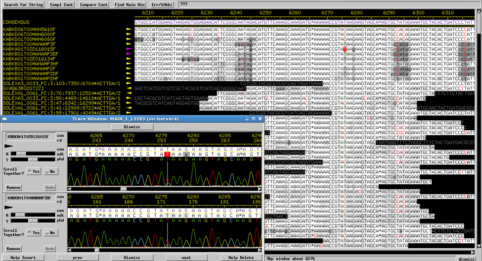 Consed Representation of Mixed Viral Sample