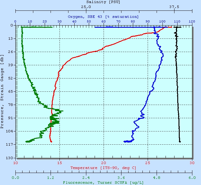 Deepest Profile Ever Collected on Sorcerer II