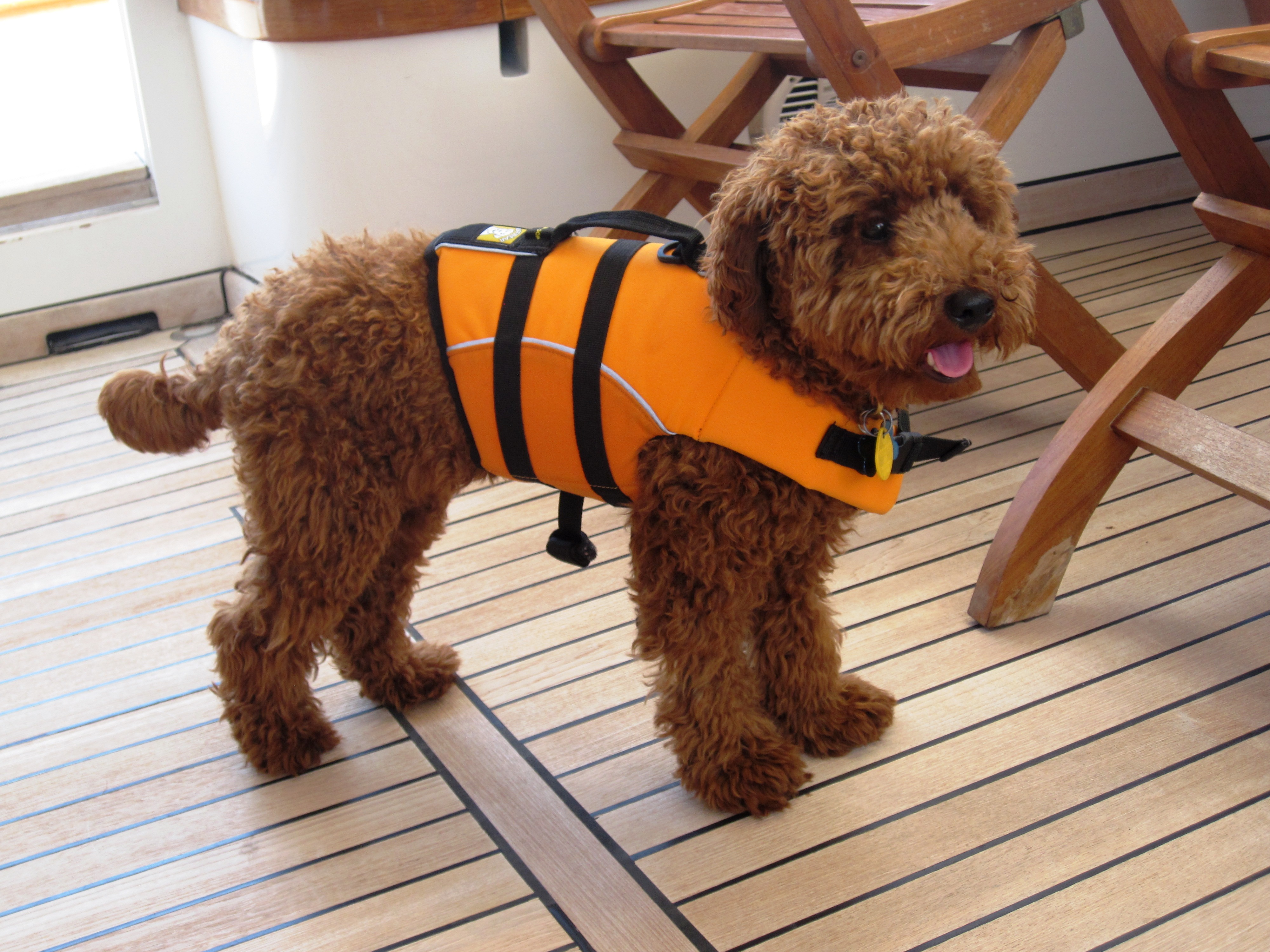 Safety first Darwin!