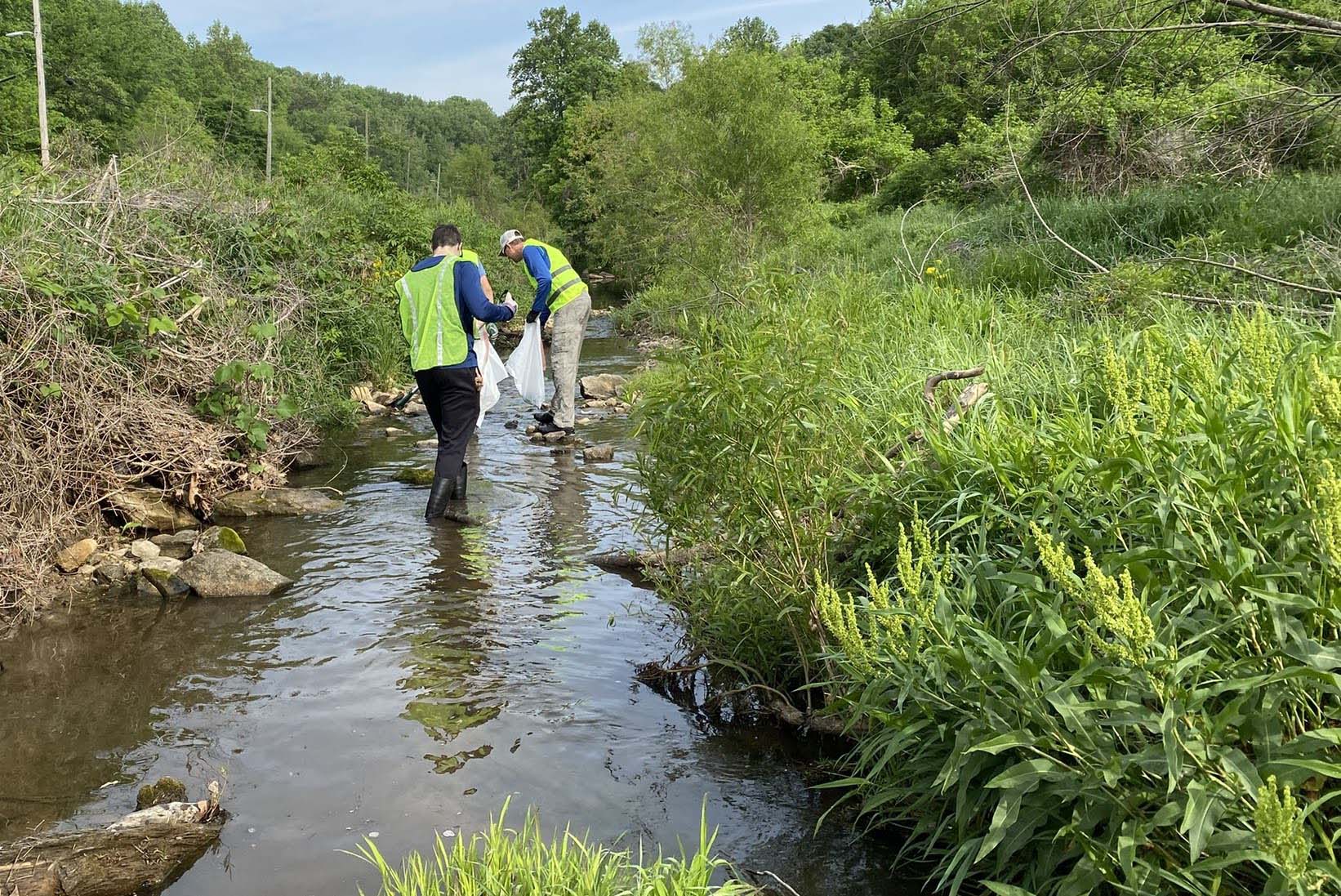 Volunteers cleaning up the creek