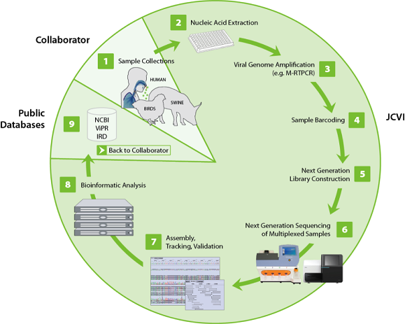 Viral Pipeline Process