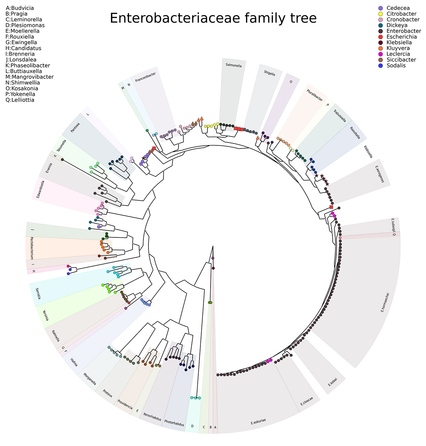 Sample output from LOCUST